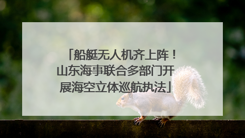 船艇无人机齐上阵！山东海事联合多部门开展海空立体巡航执法